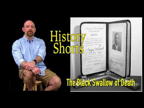 The Black Swallow of Death