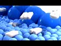 I Accidentally Samsung Logo Balls