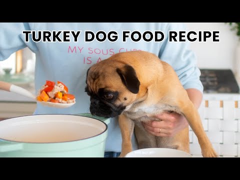 Easy One-Pot Turkey Dog Food Recipe Your Dog Will LOVE – Quick, Healthy & Irresistible!