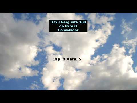 0723 Pergunta 308 do livro O Consolador