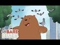 Pigeons We Bare Bears Cartoon Network