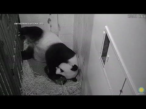 Faith Nation:  August 24, 2020