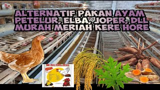 Download lagu alternatif pakan ayam petelur elba arab joper all in murah berkualitas mp3