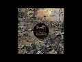 Ntel - Swarm (Scanner Mix) [GARM01]