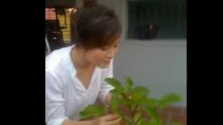 preview picture of video 'teresa.giáo xứ trung nghĩa.mpg'