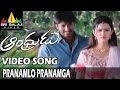 Andhrudu Video Songs Pranamlo Pranamga Video Song Gopichand Gowri Pandit Sri Balaji Video