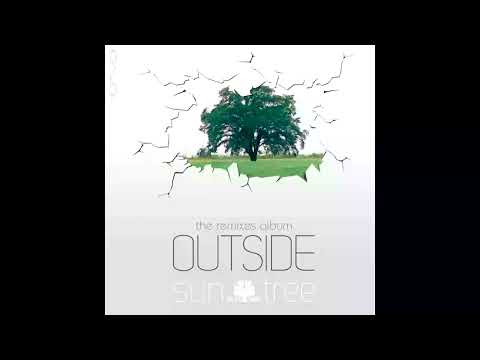 Suntree - Back to the Source  (Egorythmia & Dual Resonance Remix)