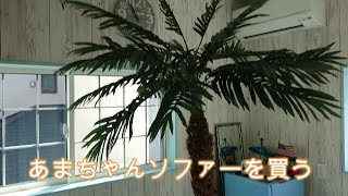 リフォームの合間に 少し家具を運び込む