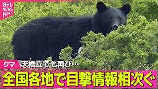 Download lagu 【クマ出没】「天橋立」で再び目撃情報 全国各地で目撃情報相次ぐ ──社会ニュースライブ(日テレNEWS LIVE) mp3 Download lagu 【クマ出没】「天橋立」で再び目撃情報 全国各地で目撃情報相次ぐ ──社会ニュースライブ(日テレNEWS LIVE) mp3