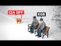 How The CIA Uses Animals To Spy