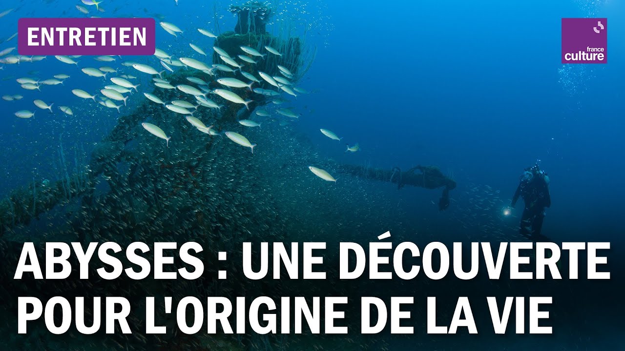 Exploration sous-marine : l’oxygène noir éclaire les abysses