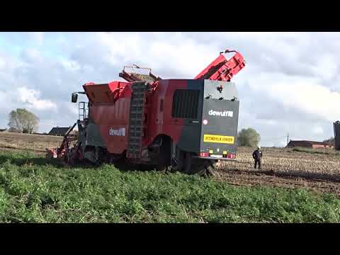 Vandemaele: Aardappel rooien.