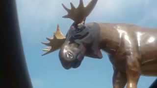 preview picture of video 'Moose n Sunroof, Quebec, New Richmond,'