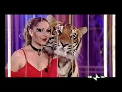 Circo Massimo Show: Le tigri di Carmen Zander (2008)