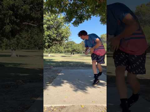 Last clip from my trip in California🌴 #cardinal