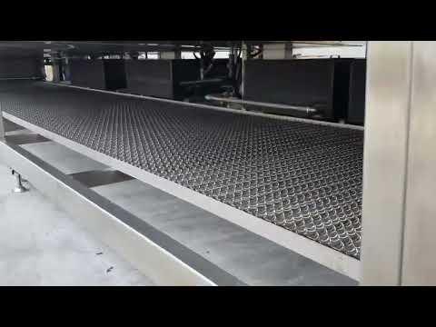 Tunnel Type Cleaning with Conveyor Mechanism