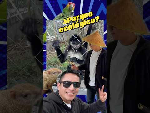 Parque ecológico en San Antonio Huista, #parqueecologico #animales #lugaresparavisitar #ranchoviejo