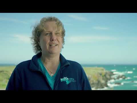 California Coastal Trail - Noyo Headlands Park