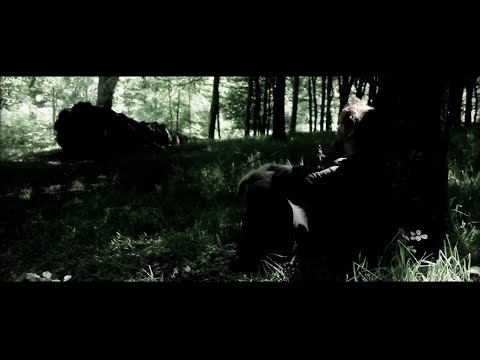 Black Dog Day - Gaz Brookfield