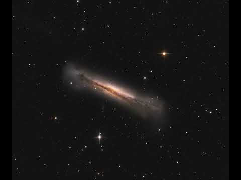 Portrait of NGC 3628 #shorts