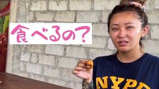 【閲覧注意】蛾の幼虫を喰う