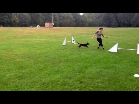 Klass1 utan slalom. Vi är inte redo än på ett tag men jag ville testa.