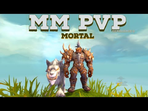 MM Hunter PvP ► MORTAL ◄ Experience 2