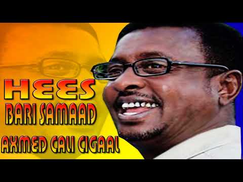 AXMED CALI CIGAAL HEESTA WADNAHAAD LA BAYDHAA