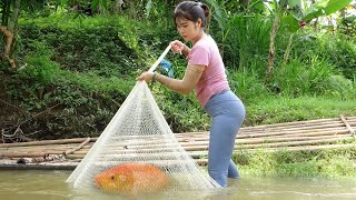 Full Video: Survival Fishing, Traditional Fishing with Net, Creat Traps Catch Big Fish