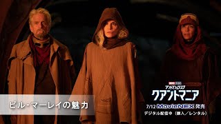 ビル・マーレイの魅力(字幕版)