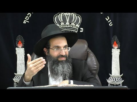 הלכות טריפות - א' - מכות | יורה דעה - סימן ל - לד | חלק 7 | הרב שי עובד