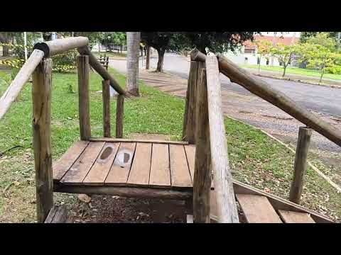 Assista ao Vídeo