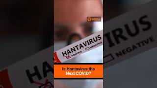Is Hantavirus the Next COVID? Global Evacuation After Cruise Ship Outbreak