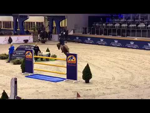 Herakles CSIYH Opglabbeek winning round
