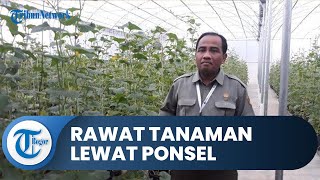 Mengusung Konsep Pertanian 4.0, Balitbangtan Kembangkan Inovasi Merawat Tanaman Lewat Ponsel