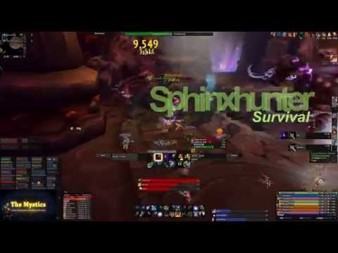 The Mystics vs. Twin Ogron Mythic Highmaul (Hunter & Druid POV)