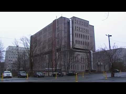 Bald Terror Camera Test