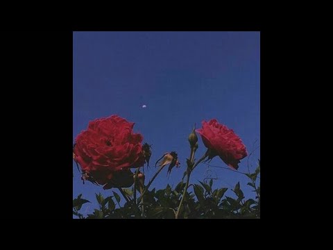 [FREE] Indie Rock x Wallows x Alternative Rock Type Beat - "Idle"