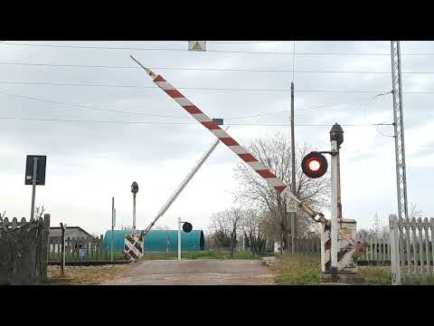 Passaggio a livello con le fantastiche FS64 a Musano (TV) - Via Palladio