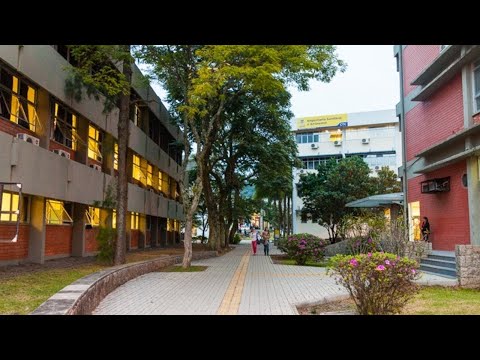 FORMATURA - Sistemas de Informação