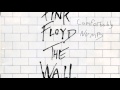 Pink Floyd Comfortably Numb 800 Slower