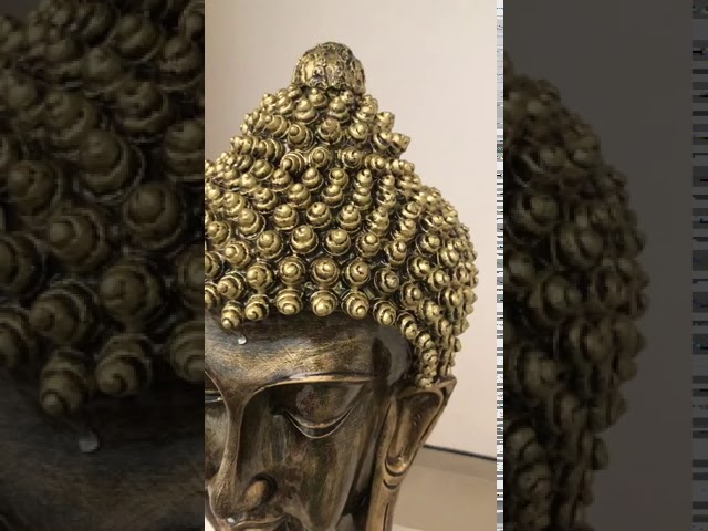 Vídeo relacionado con Aoneky Estatua Familiar de Metal - Figura Decorativa de Madre Padre Hijo Hija, Escultura Moderna Abstracta, Decoración del Hogar Casa Oficina, Figura Decorativa de Familia de 5, Negro