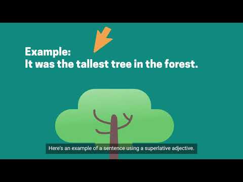 Adjectives An Easy Guide With Examples The Grammar Guide