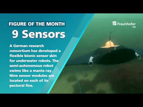 RealIZM Figure of the Month: 9 Sensors