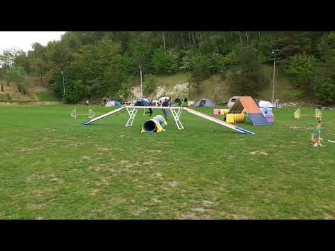 Zawody Agility w Bibicach 22.05.22r. - A2 (1/3)