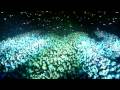 Cascada - How Do You Do (Clubland Live March 2008)