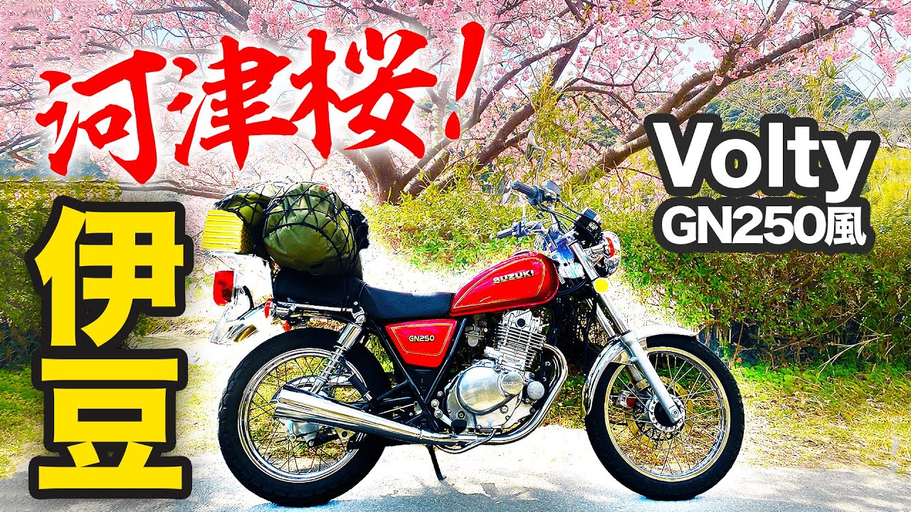 【美しすぎた河津桜と戸田の海】ボルティーのクラッチ交換をしたので試乗がてら伊豆へキャンプツーリング