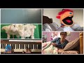 Dance Myself To Sleep Tot Tunes Virtual Learning