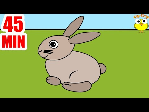 Iepurasul salta vesel pe camp - Cantece pentru copii (desene animate) | Cip-Cirip