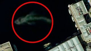 Mysterious Sea Creatures Spotted On Google Earth!